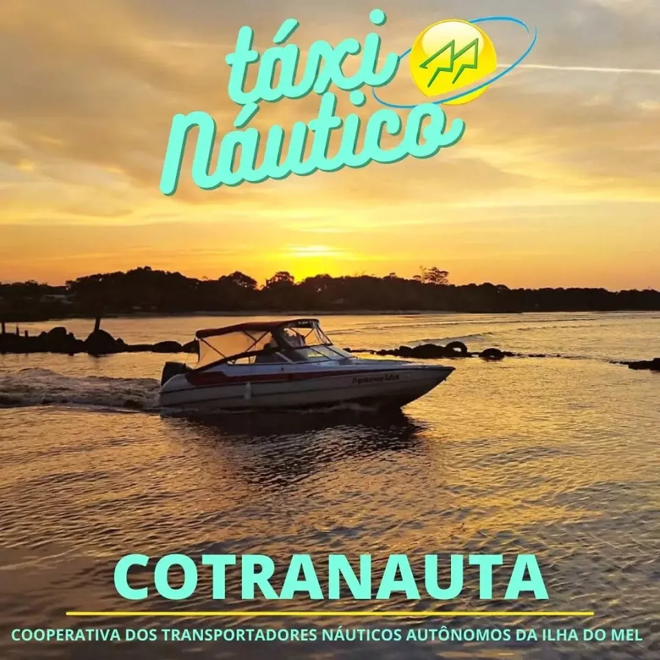 Cotranauta