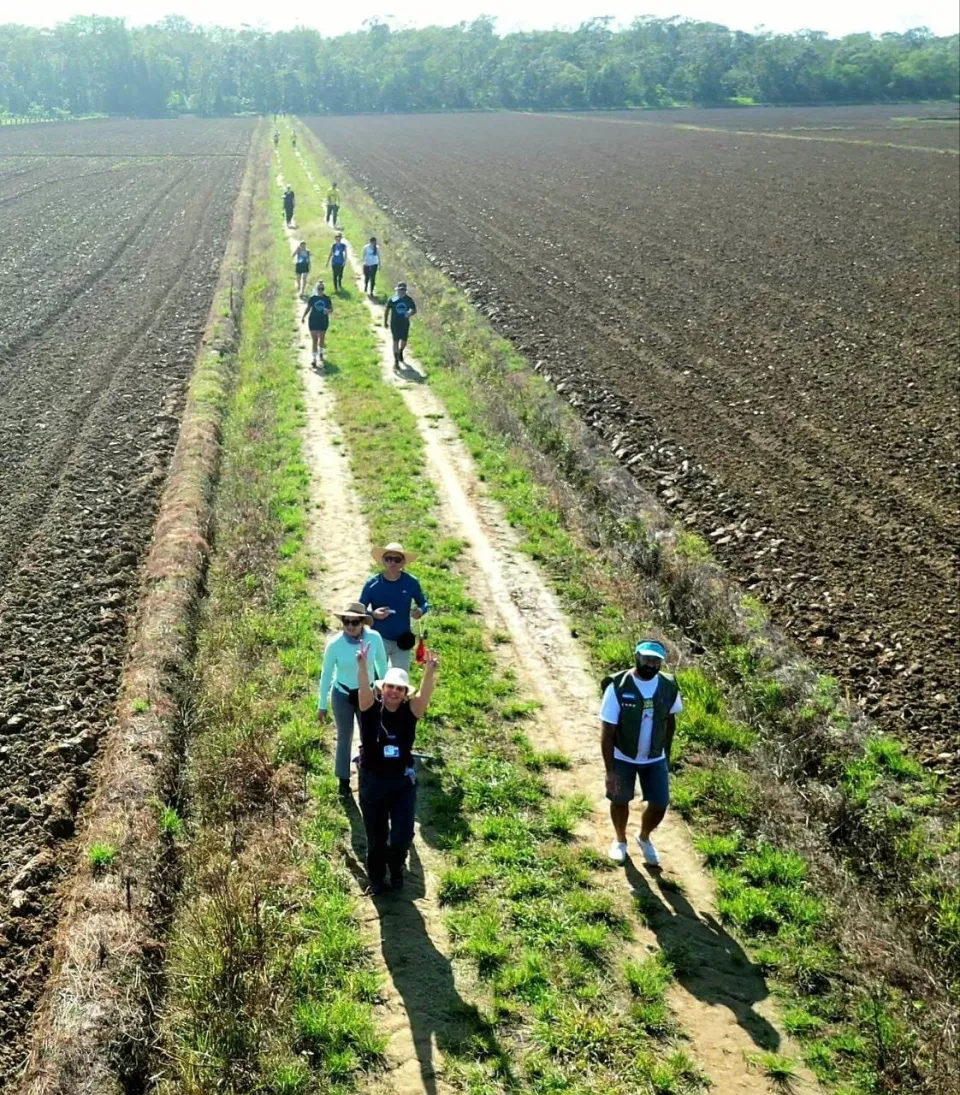 Caminhada na Natureza